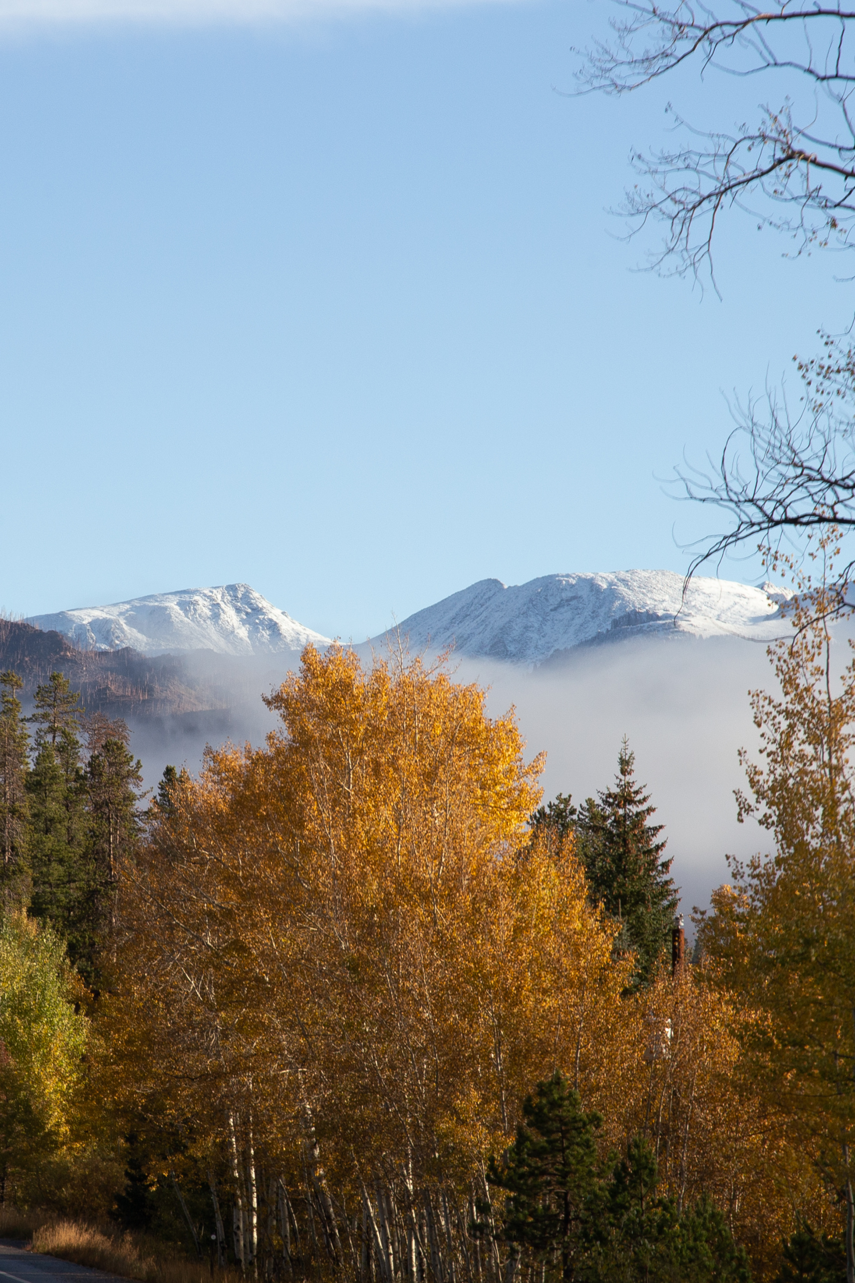 Best Places to Elope in Fall - Colorado