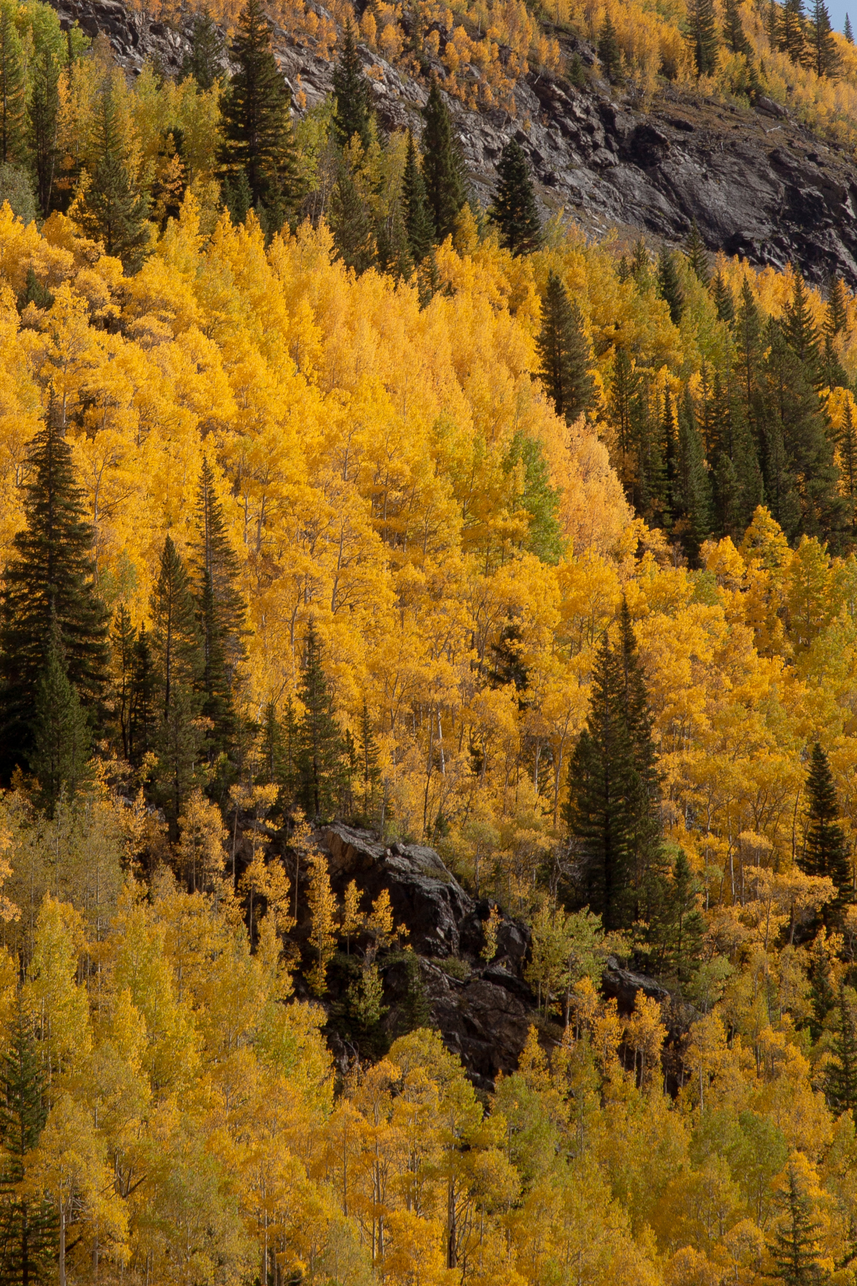 Best Places to Elope in Fall - Colorado