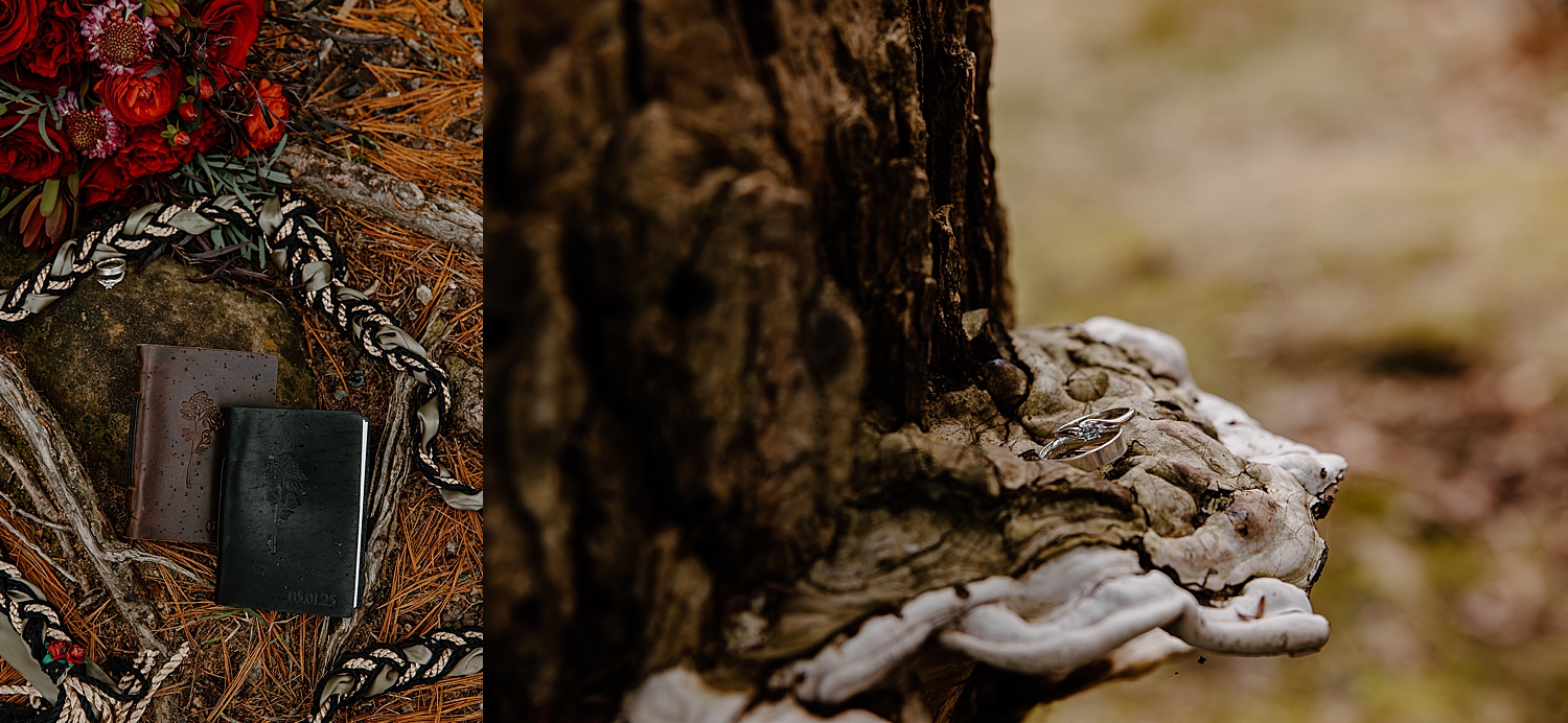 diamond rings sit on mushroom on tree by Wisconsin wedding photographer