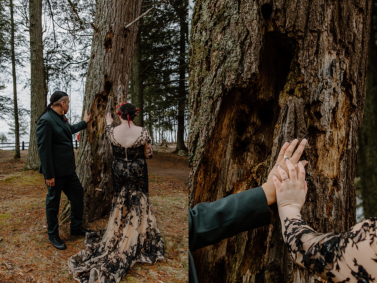 husband and wife place hands on tree for Beltane Elopement