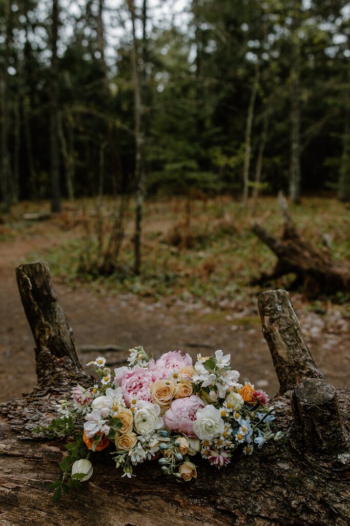 colorful bridal bouquet sits on log by Samantha Burke Photography