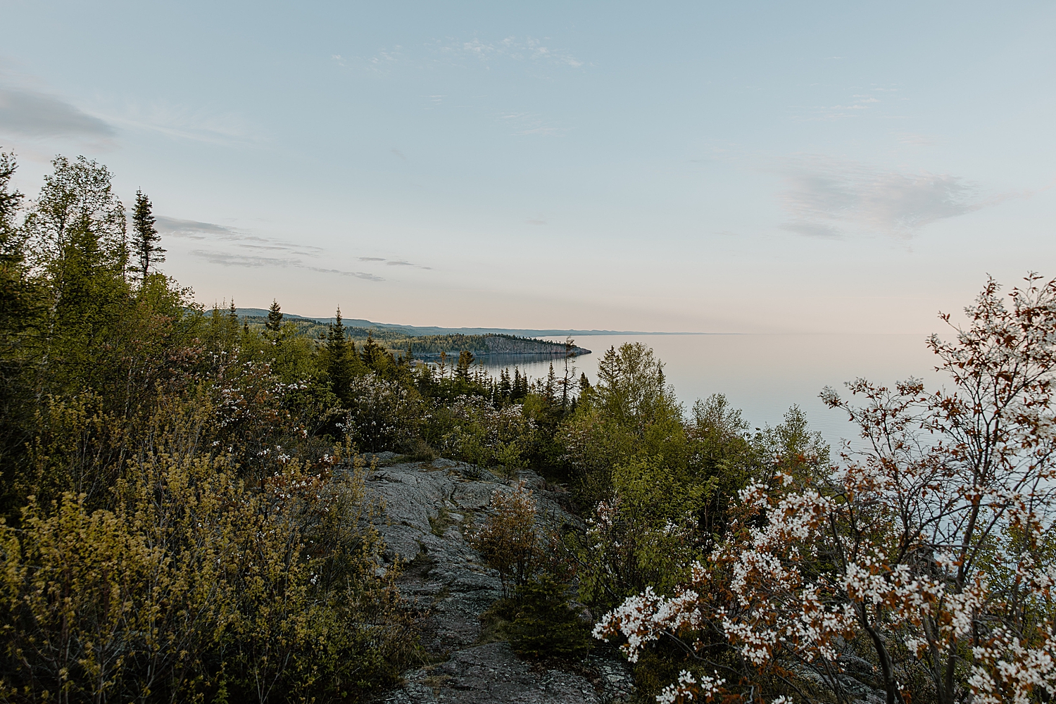 flowers along the cliffside at North Shore by Samantha Burke Photography