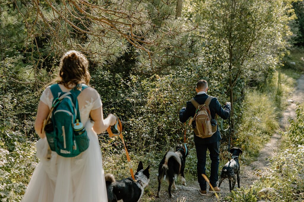 bride and groom hike through trees with their dogs in tow by Samantha Burke Photography