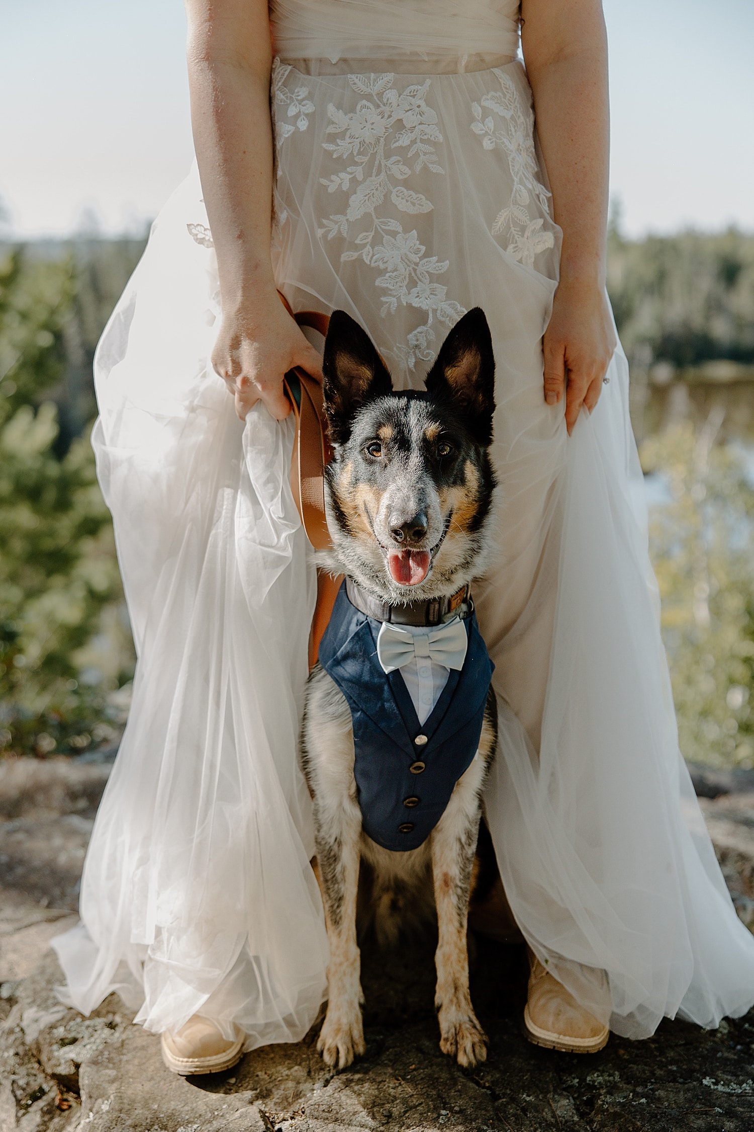 woman in tulle bridal gown holds leash of her dog by Samantha Burke Photography