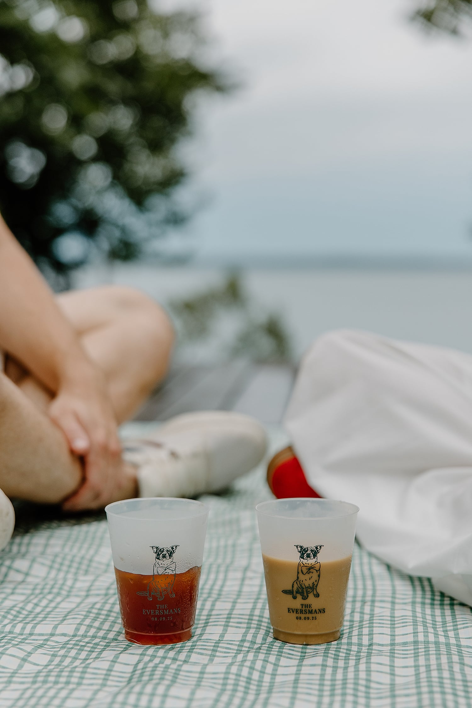 two cups with custom dog faces on them sit on picnic blanket by Wisconsin wedding photographer