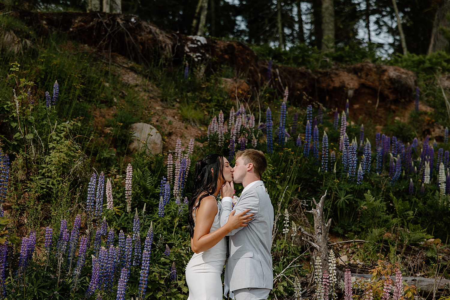 newlyweds kiss in front of lavendar by Samantha Burke Photography